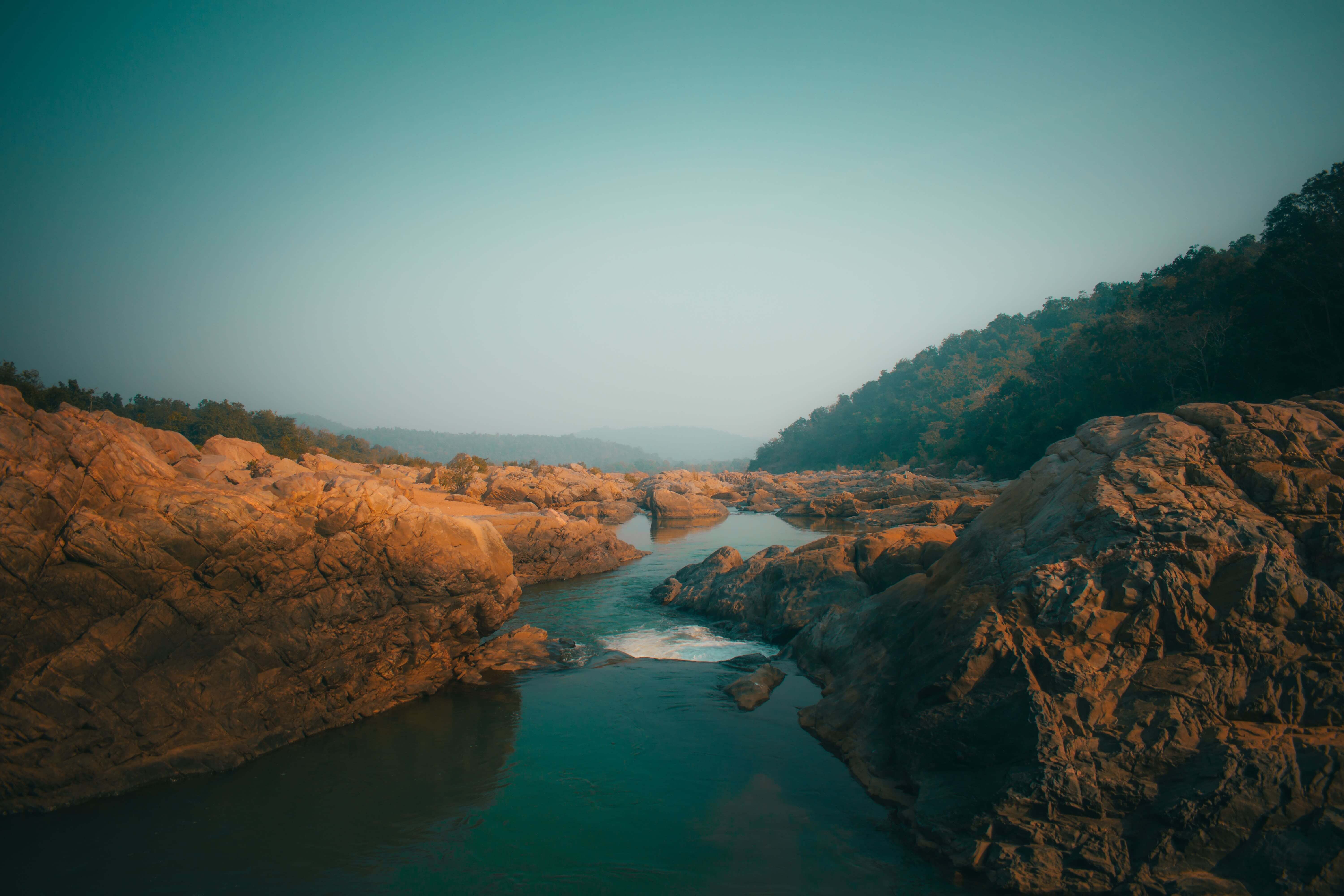 shivam-baraik-hHLsy4Tx_5g-unsplash.jpg
